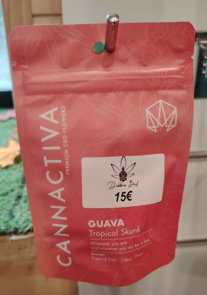 CANNACTIVA GUAVA TROPICAL SKUNK