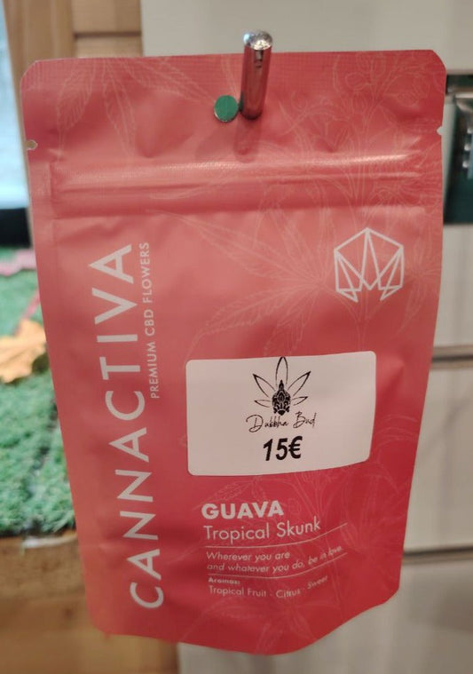 CANNACTIVA GUAVA TROPICAL SKUNK